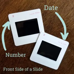 35mm photo slides showing printed date and number markings indicating the front side of the slide
