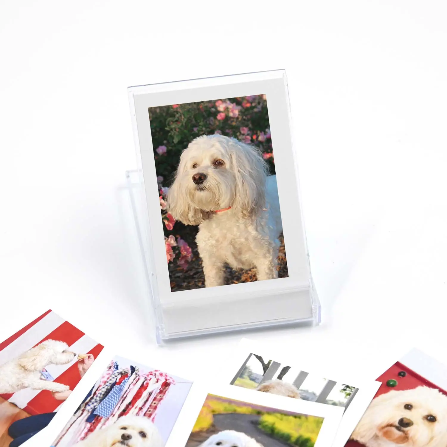 Pocket Photo Prints
