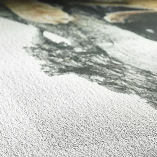 Close-up of Hahnemühle German Etching showing its felt-structured surface