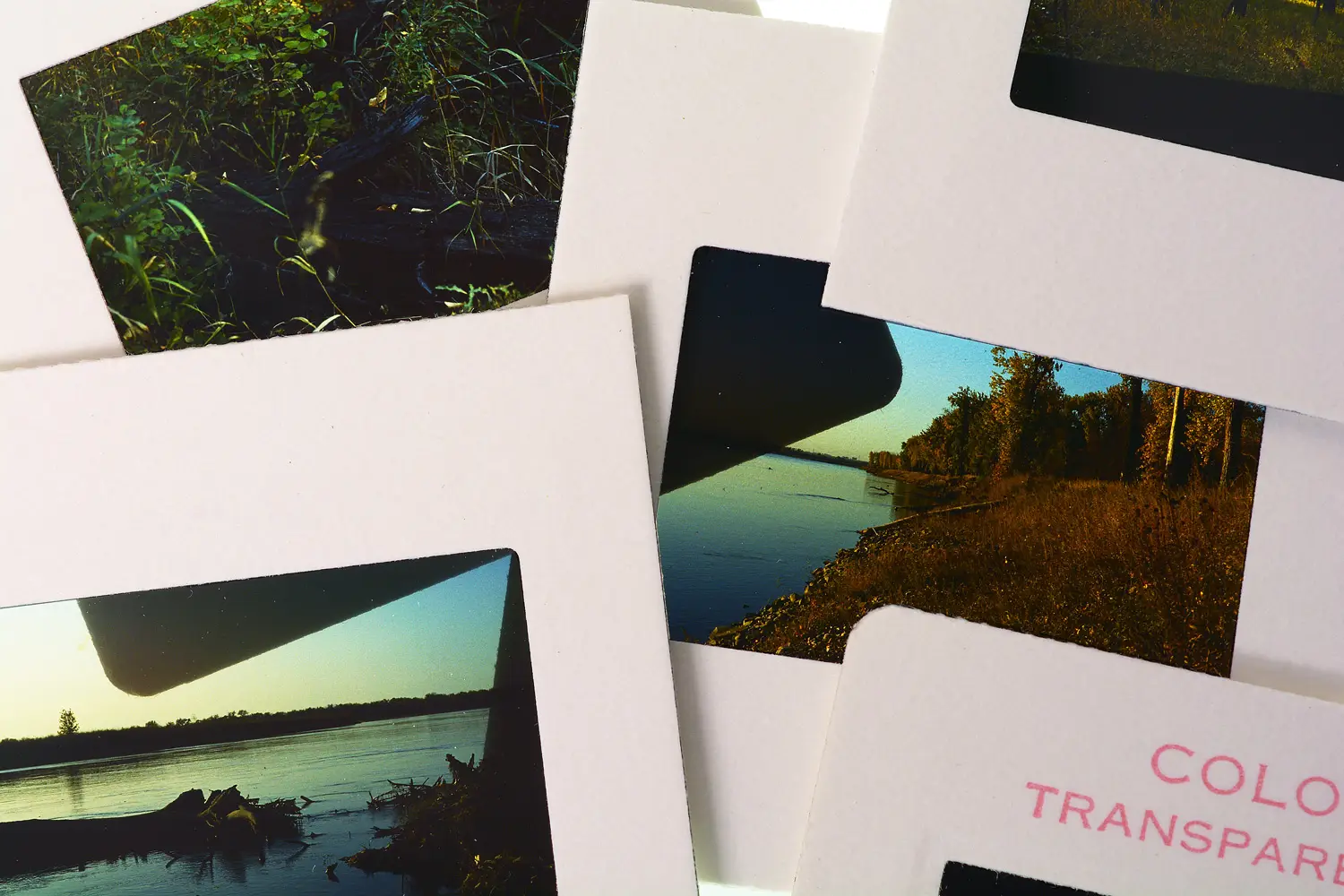 Close-up of vintage color slide transparencies featuring nature scenes, framed in white cardboard mounts on a flat surface