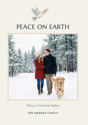 Dove of Peace holiday card