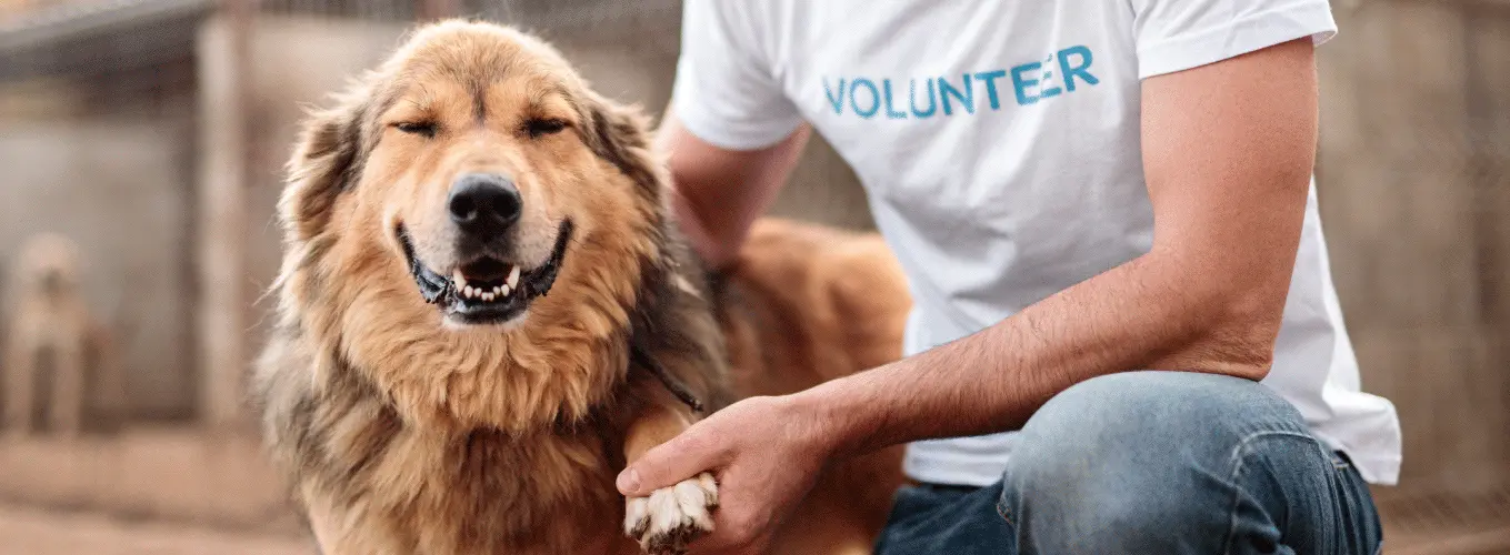 Charity Shops Banner