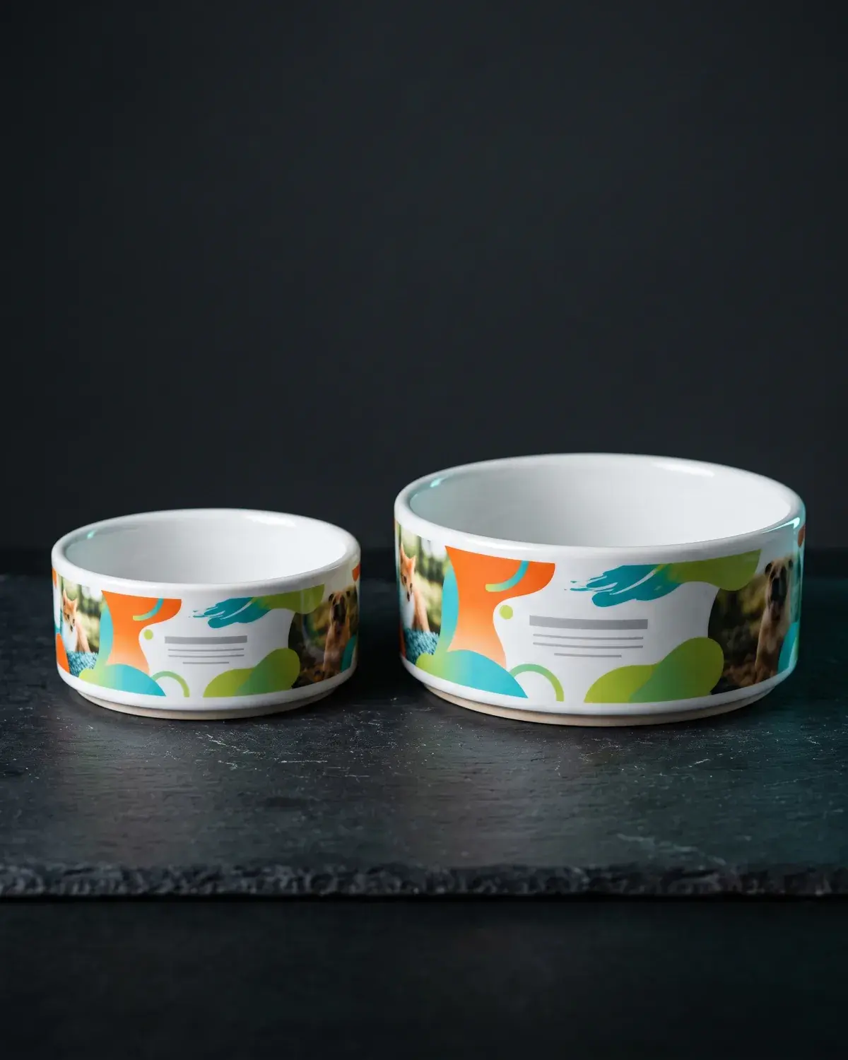 Printed cat bowl and dog bowl side by side.