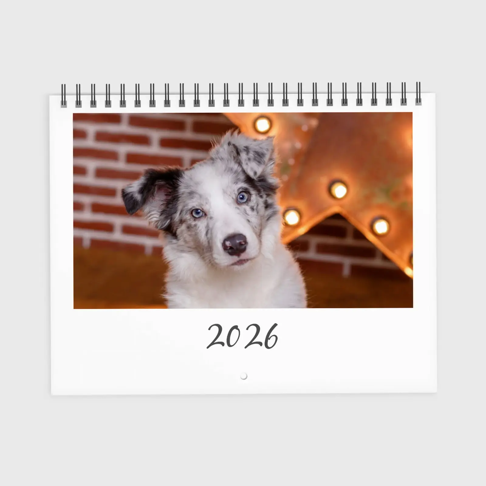 Simple and stylish photo calendar you can personalize with family, travel, or pet photos