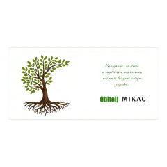 Šalica s porukom o obitelji i zajedničkim korijenima – lijepa uspomena koja podsjeća na ono najvažnije.