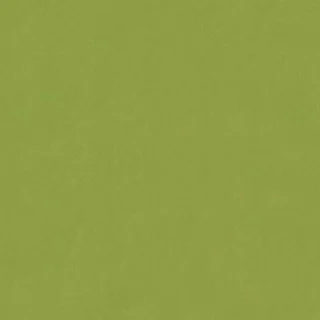 Faux Leathers cover material in Lime