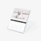 Photo desk calendar in cd case