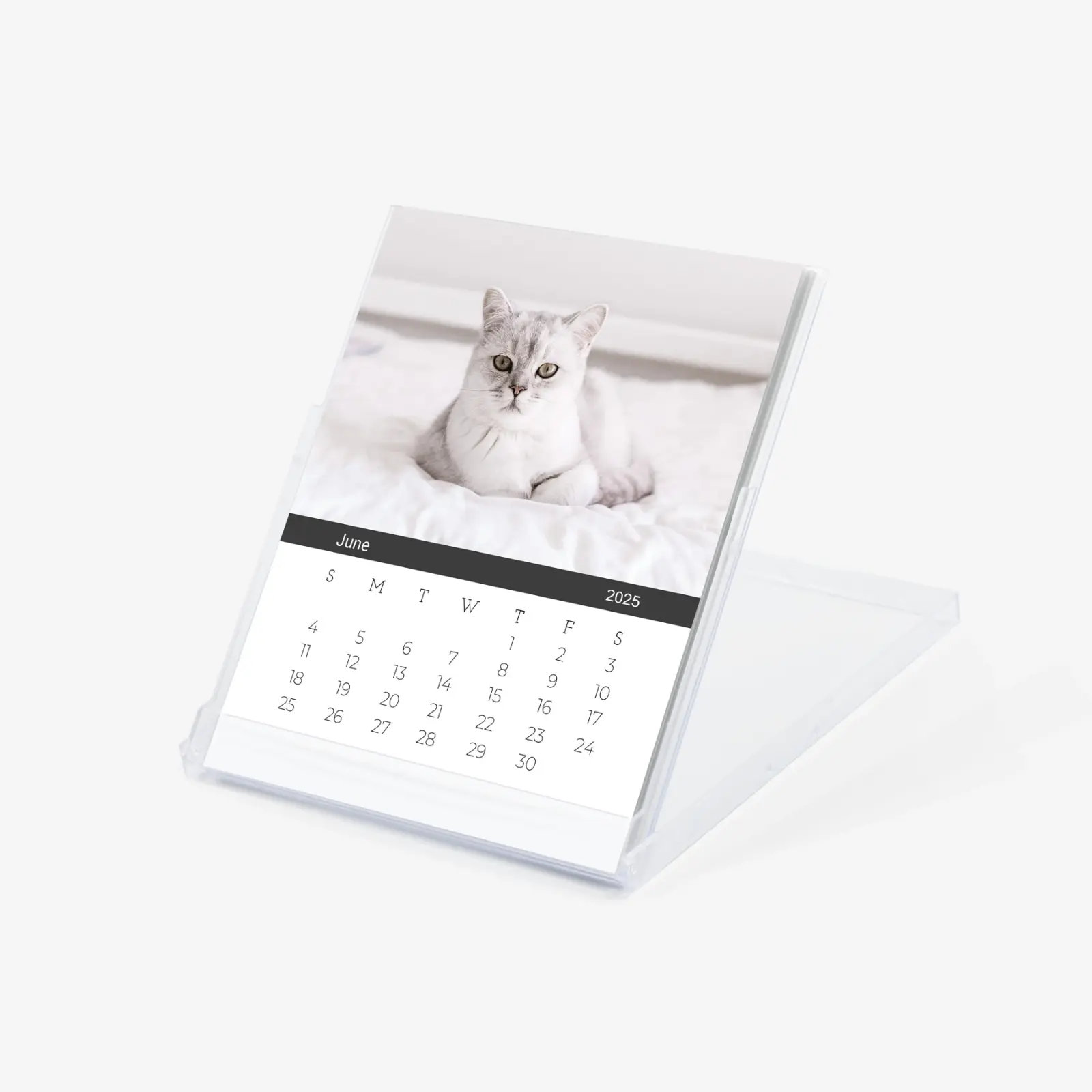 Photo desk calendar in cd case