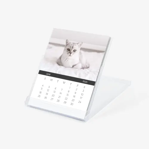 Photo desk calendar in cd case