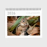 Photo calendar with a big numbers design you can customize with your favorite personal images
