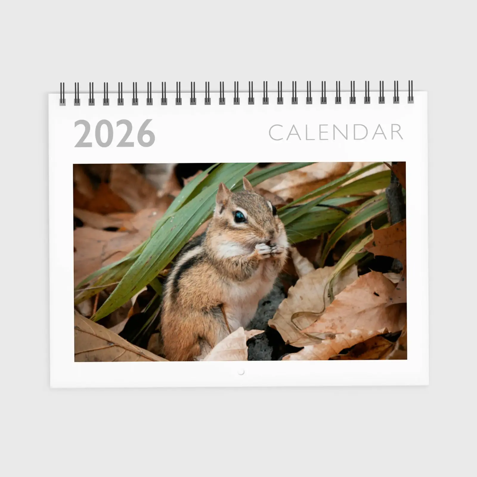 Photo calendar with a big numbers design you can customize with your favorite personal images