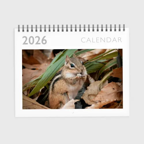 Photo calendar with a big numbers design you can customize with your favorite personal images