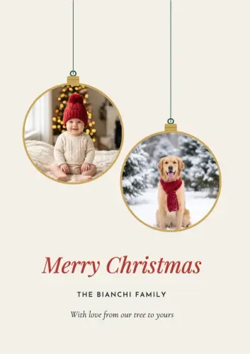 Hanging Ornaments holiday card