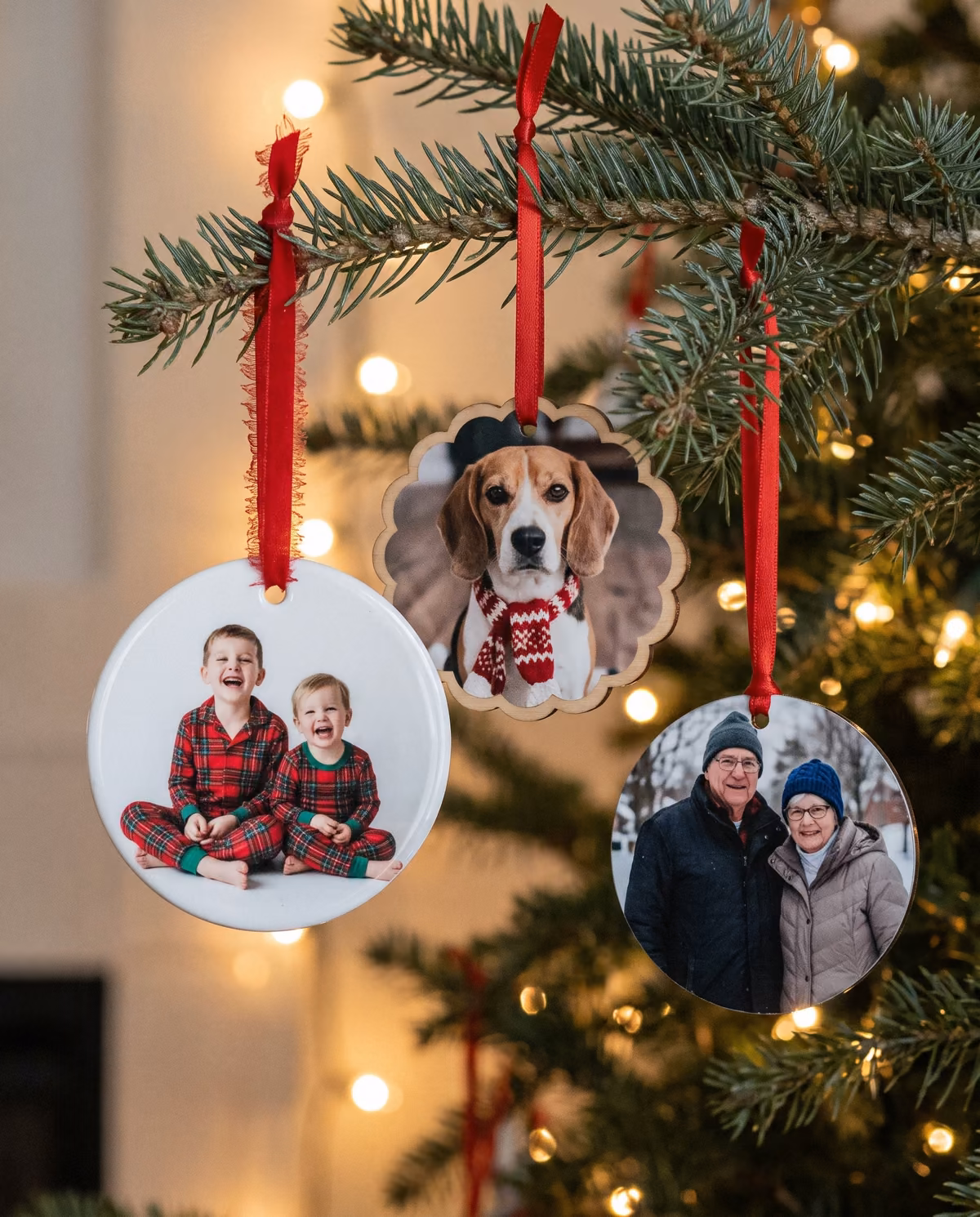 Three photo ornaments hanging on a fir branch