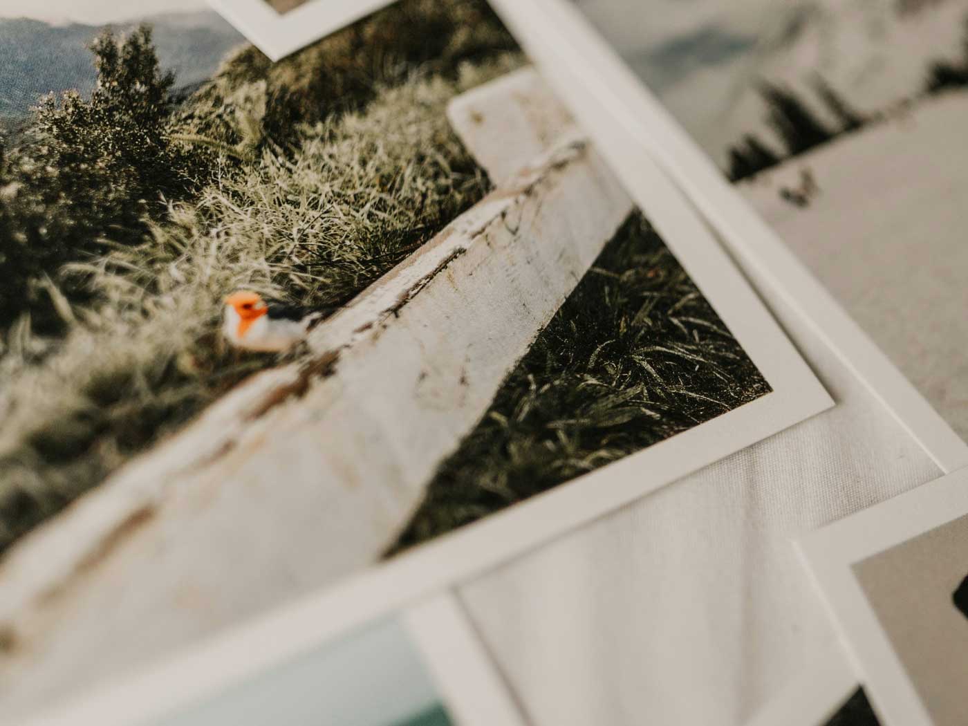 Photo prints
