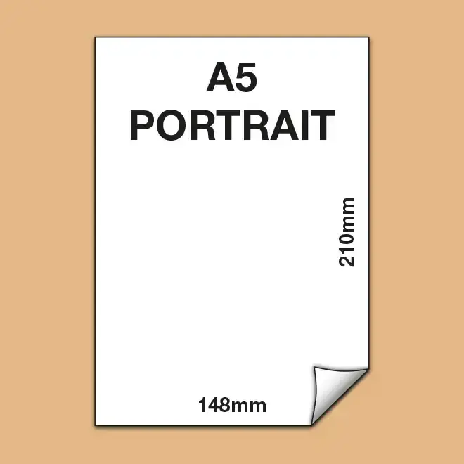 FLA5DSP-preview3.webp-alt