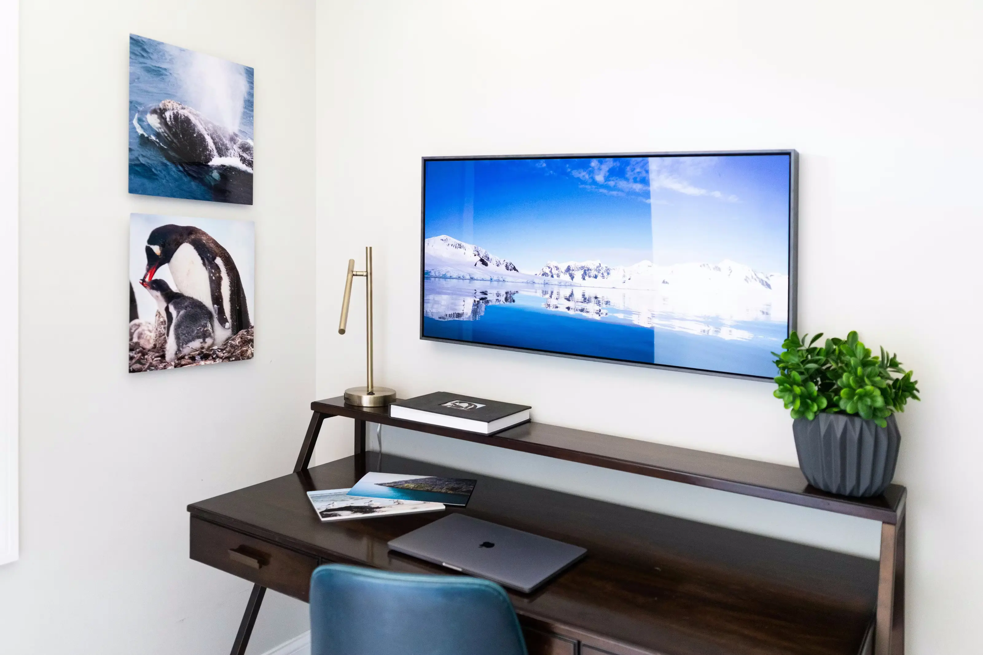 Vibrant metal print with high-gloss finish