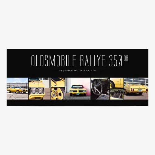 9 image collage banner with solid color background