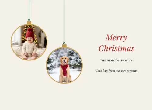 Hanging Ornaments holiday card