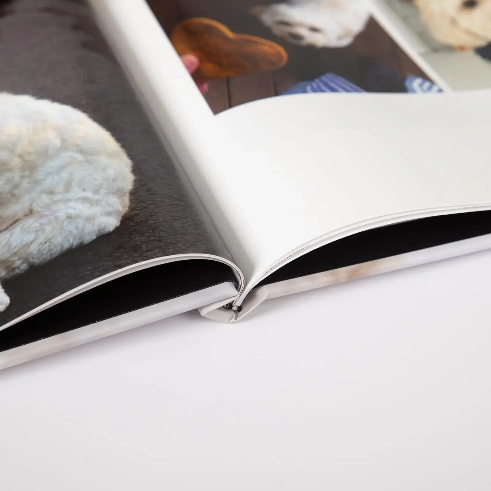 Image wrapped photo book with classic pages