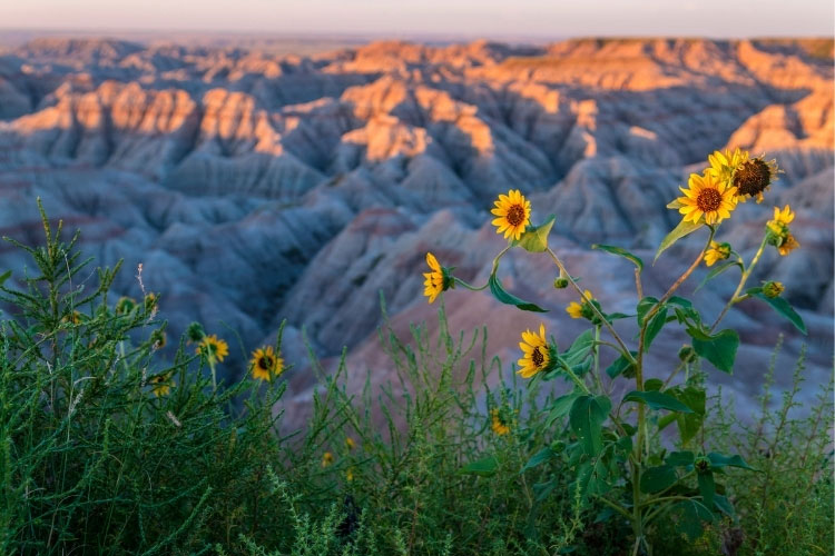 South Dakota badlands