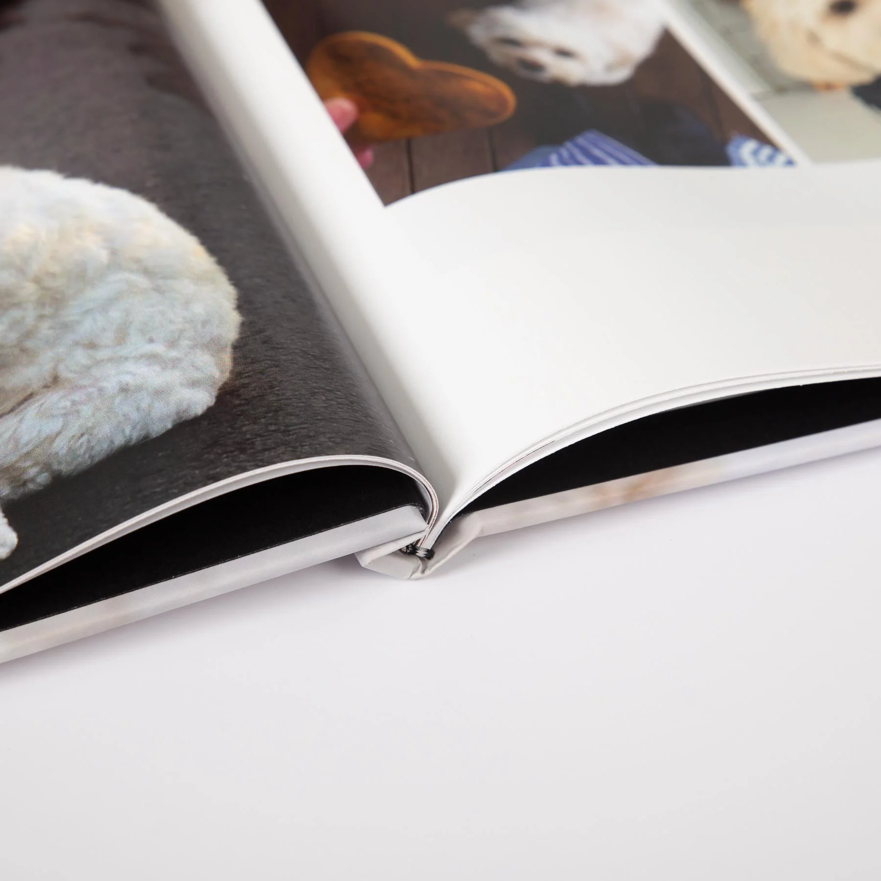 Image wrapped photo book with classic pages