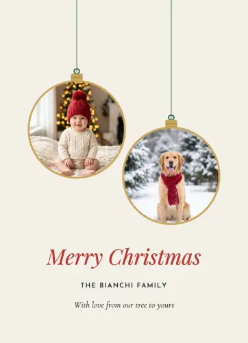 Hanging Ornaments holiday card
