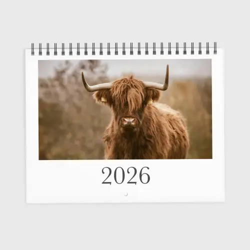 Modern personalized calendar template perfect for adding your own photos