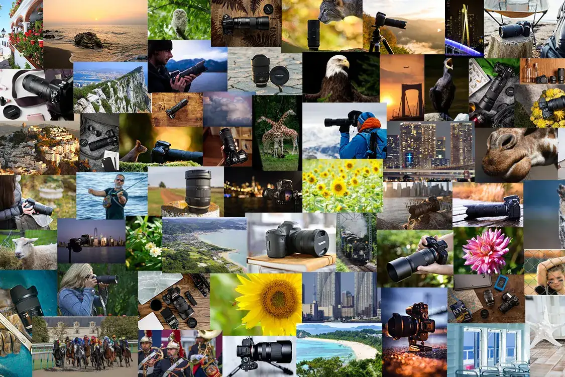 Collage of photos taken with rented camera lenses