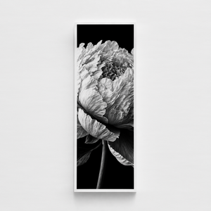 A 5-inch section of your image at full size