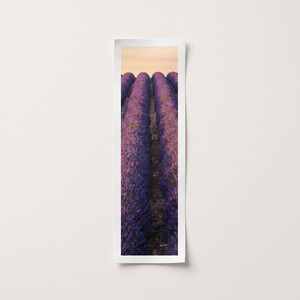 A 5-inch section of your image at full size