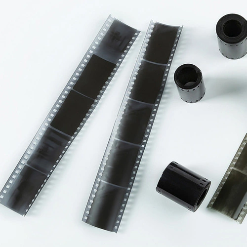 Black and white film negatives — B&W film developing service in Knoxville TN
