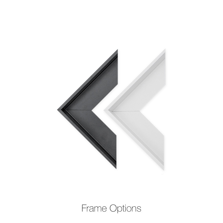 Metal Photo Print Framing Options