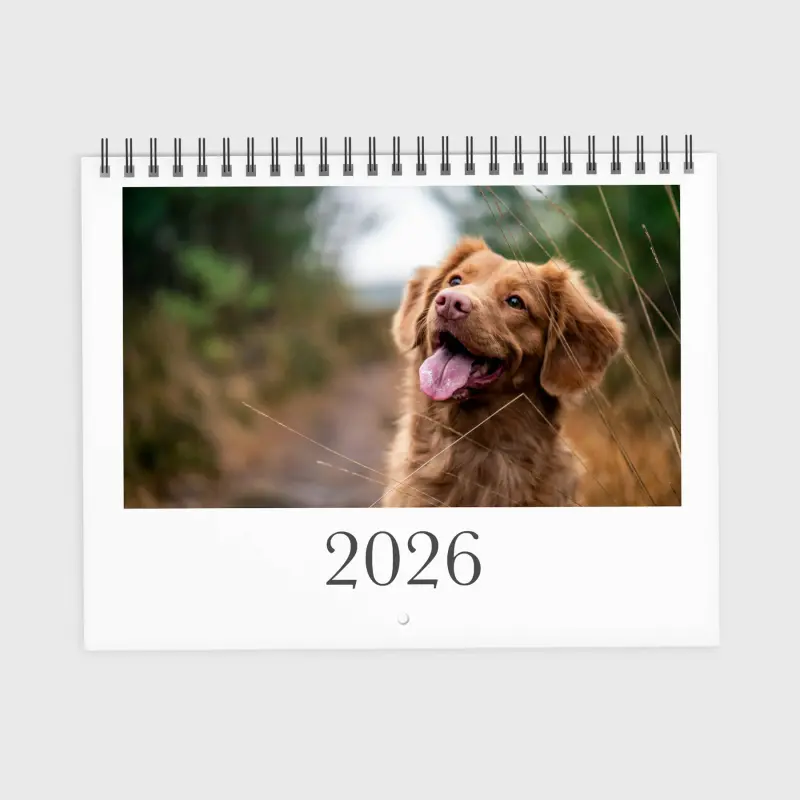 Personalized photo calendar with a clean, classic layout ready for your own photos