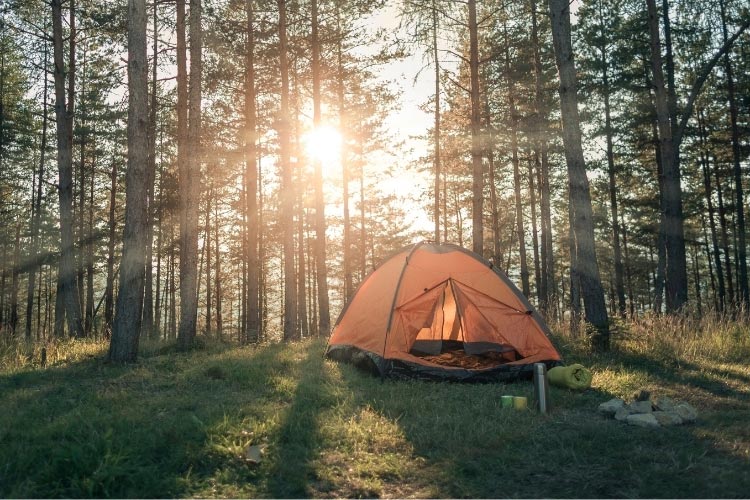 Summer photography of camping site