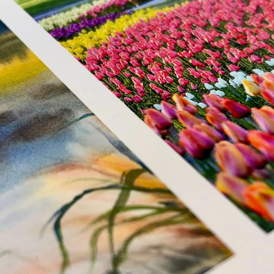 Close-up of Sunset Hot Press Smooth paper with a print