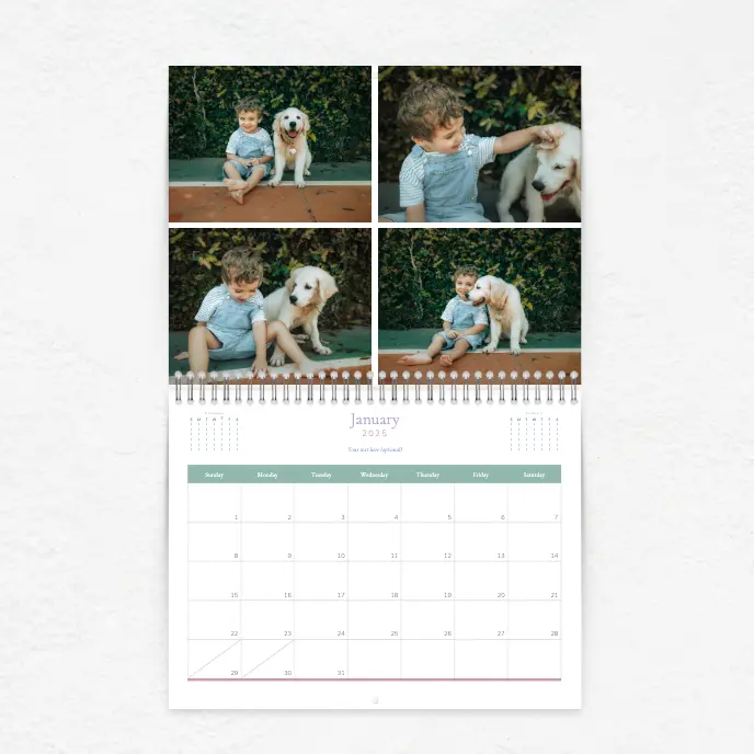 Photo calendar overview
