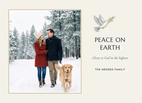 Dove of Peace holiday card