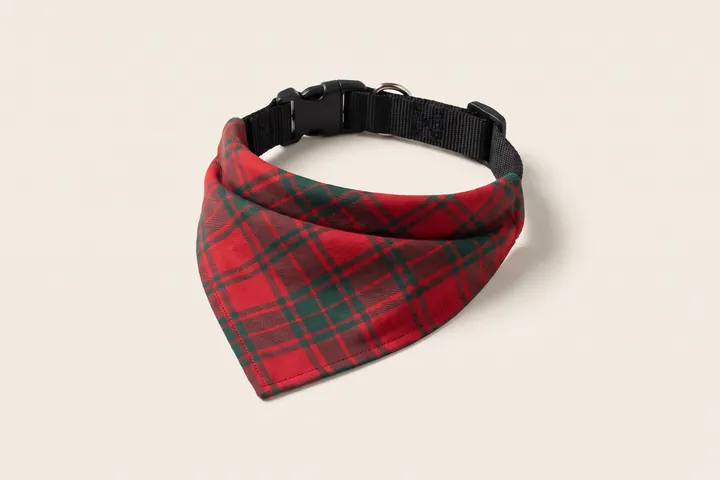 Tartan pet bandana on a black buckle collar
