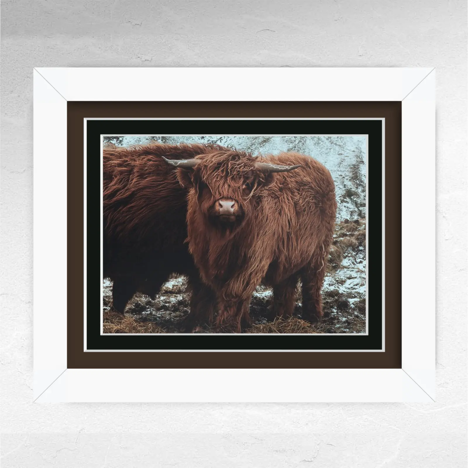 Framed photograph of a Highland cow with shaggy brown fur standing outdoors in a snowy field, displayed in a black frame with a cream mat on a light textured wall.