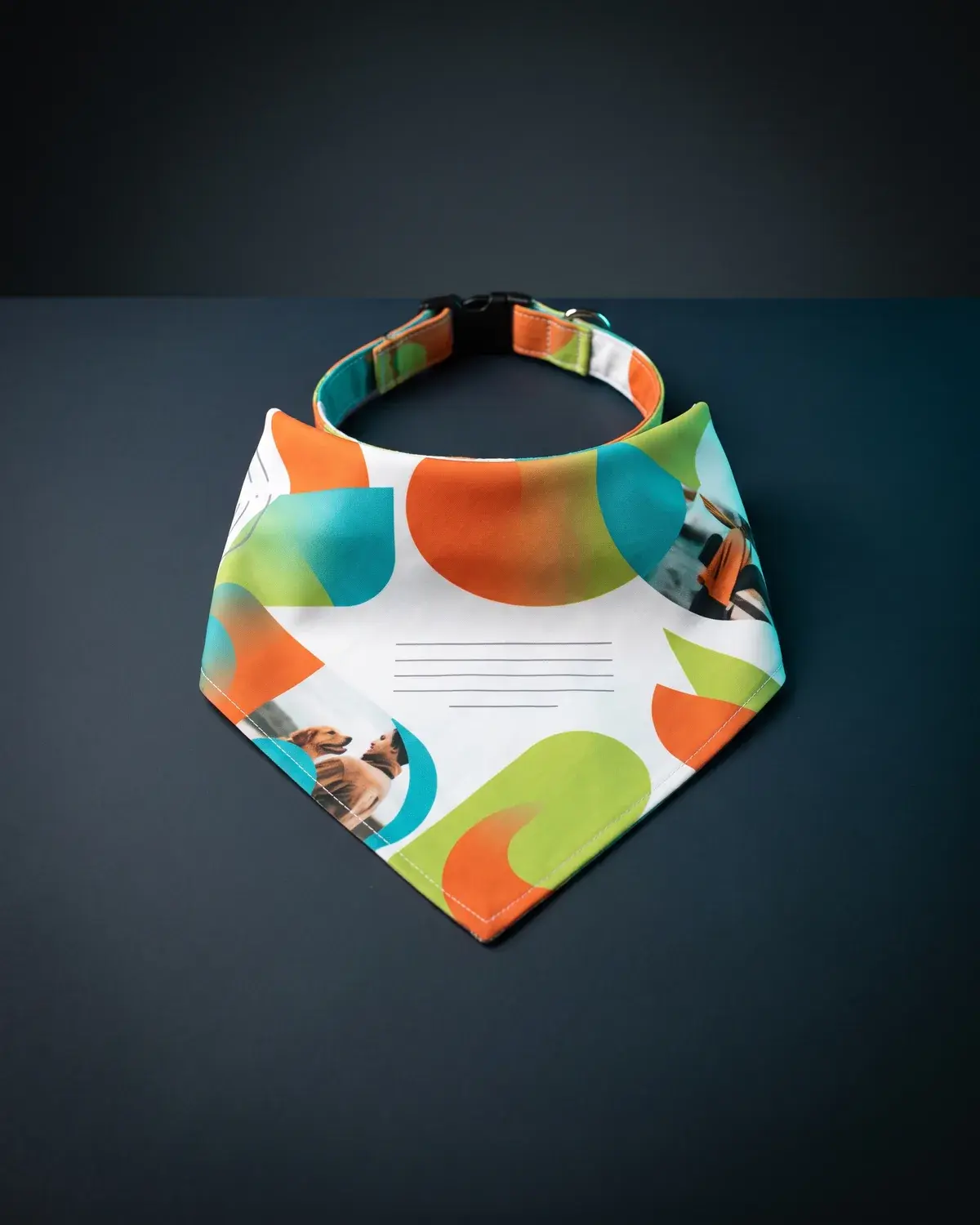 Full color printed pet bandana with an attached collar.