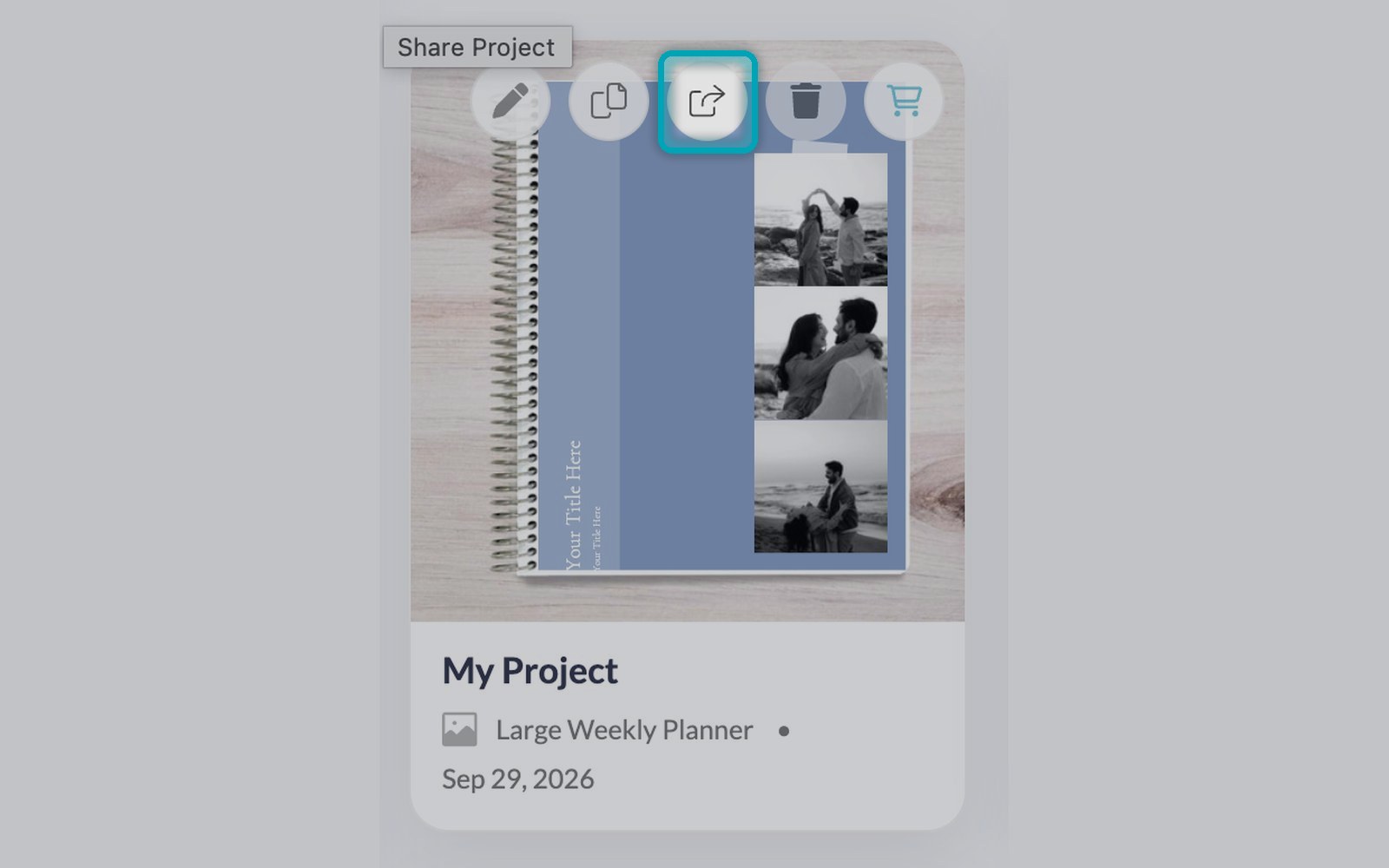 Share icon on a saved project