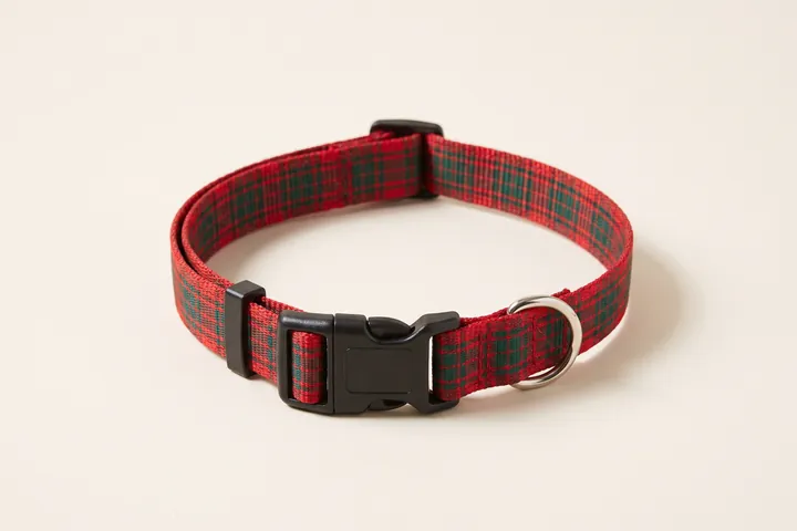 Tartan dog collar with a black buckle