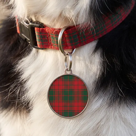 Round tartan pet tag on a dog collar