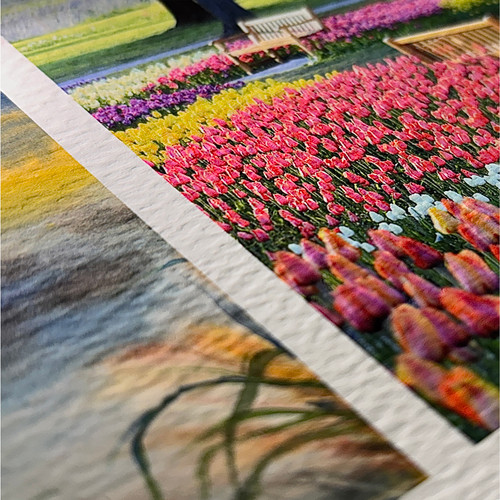 Fine Art Prints