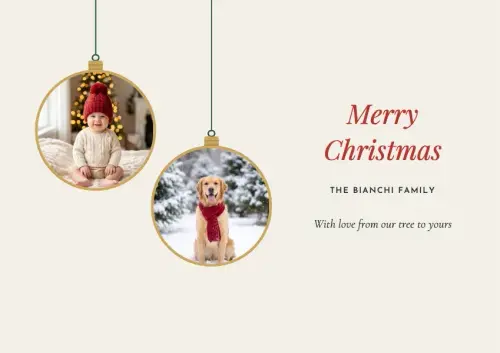 Hanging Ornaments holiday card