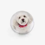 Acrylic frame photo sphere