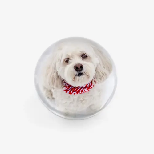 Acrylic frame photo sphere