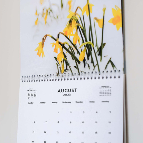 Flower Calendar Image