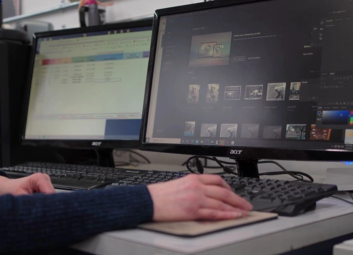 High-resolution scanning of slides and negatives on a professional monitor